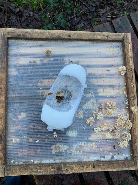 Winter Hive Checks And Fondant Feeding: Why It Matters This Year